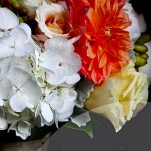 Meet your Posher, Mira